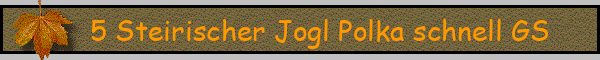 5 Steirischer Jogl Polka schnell GS
