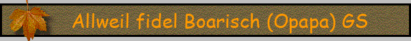 Allweil fidel Boarisch (Opapa) GS