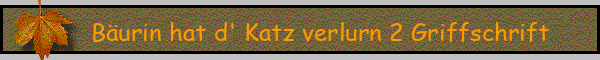 Bäurin hat d' Katz verlurn 2 Griffschrift