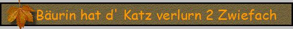 Bäurin hat d' Katz verlurn 2 Zwiefach