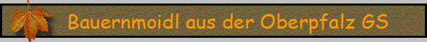 Bauernmoidl aus der Oberpfalz GS
