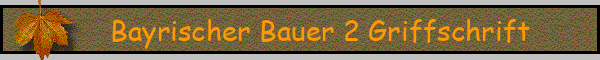 Bayrischer Bauer 2 Griffschrift