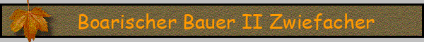 Boarischer Bauer II Zwiefacher