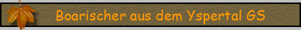 Boarischer aus dem Yspertal GS