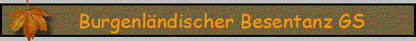 Burgenländischer Besentanz GS