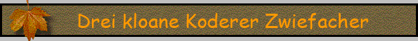 Drei kloane Koderer Zwiefacher