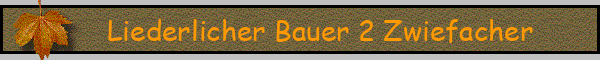 Liederlicher Bauer 2 Zwiefacher