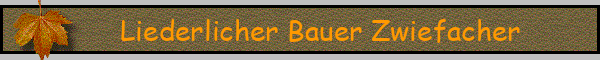 Liederlicher Bauer Zwiefacher