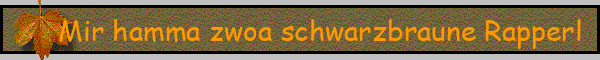 Mir hamma zwoa schwarzbraune Rapperl