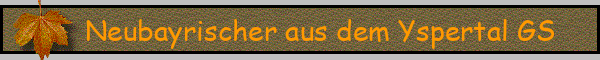 Neubayrischer aus dem Yspertal GS