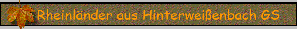 Rheinländer aus Hinterweißenbach GS