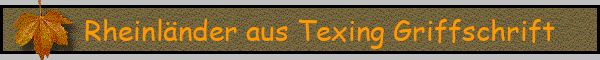 Rheinländer aus Texing Griffschrift