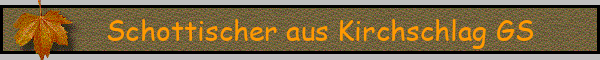 Schottischer aus Kirchschlag GS