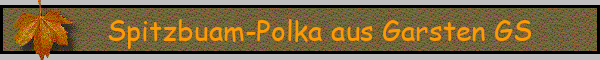 Spitzbuam-Polka aus Garsten GS