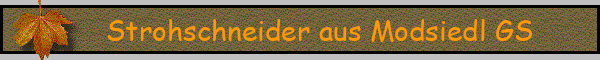 Strohschneider aus Modsiedl GS