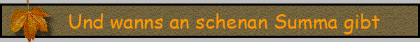 Und wanns an schenan Summa gibt
