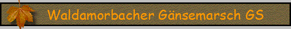 Waldamorbacher Gänsemarsch GS