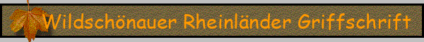 Wildschönauer Rheinländer Griffschrift